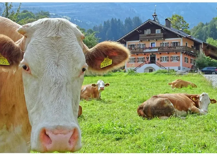 Alpinresort Derbacherhof Niedernsill zdjęcie