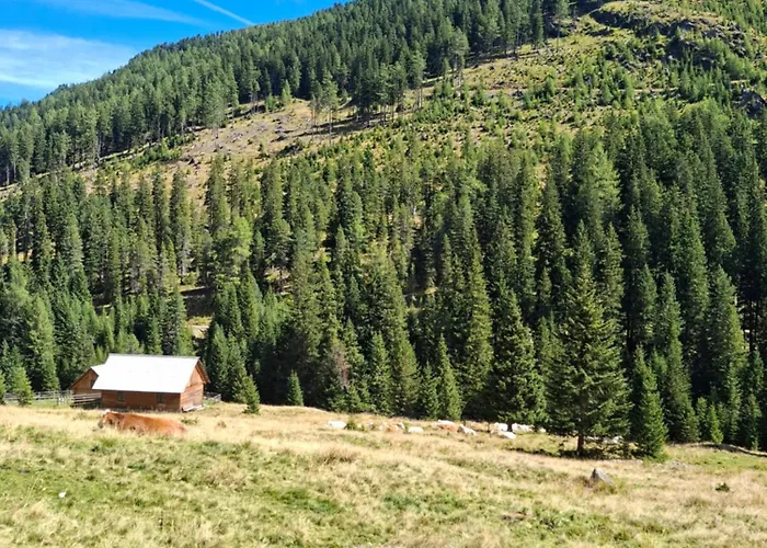 Ramingstein Almhuette Prem 1ヴィラの写真