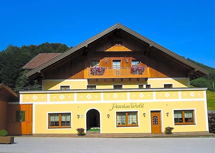 Pension Wald Hof bei Salzburg fotoğrafı